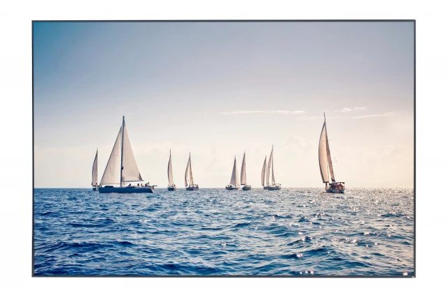 Фото Картина в раме Regatta, Hoff