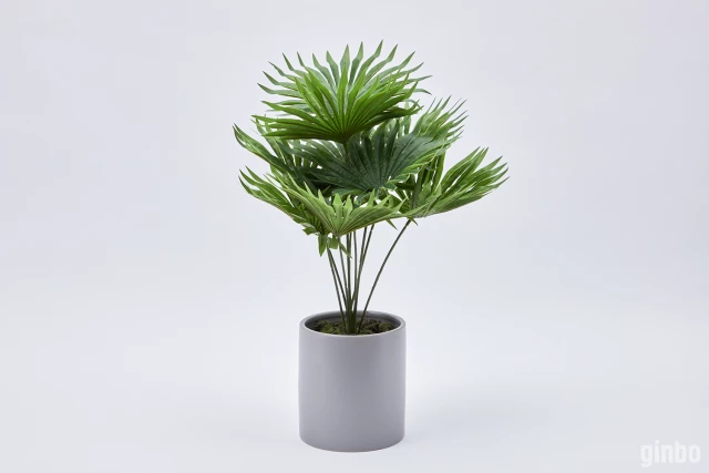 Фото Искусственное растение Пальма, Hoff