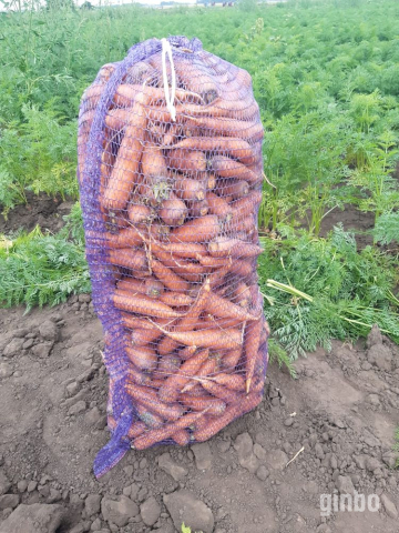 Фото Морковь от производителя для готовки и производства сока
