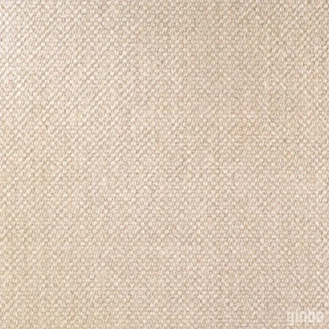 Фото Плитка из керамогранита матовая APE Carpet 60x60 бежевый