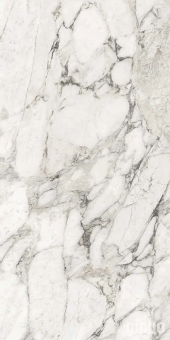 Фото Плитка из керамогранита матовая Marazzi Grande Marble Look 120x240 белый (M1JM)