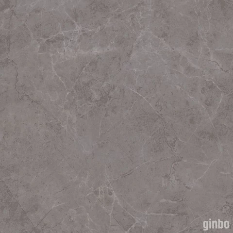 Фото Плитка из керамогранита матовая Kerama Marazzi Гран Пале 50.2x50.2 серый (SG457300R)