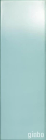 Фото Керамическая плитка для стен Ragno Frame 25x76 голубой (R4YF)