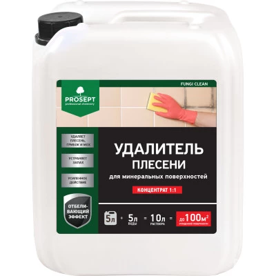 Фото Удалитель плесени Prosept Fungi Clean концентрат 1:1 5 л